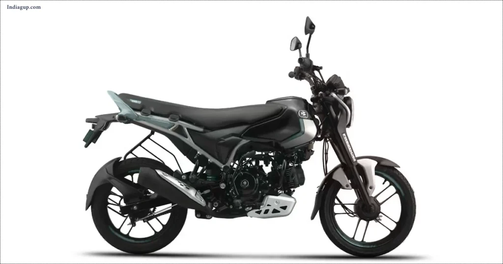 Bajaj Freedom 125 CNG bike side view black color