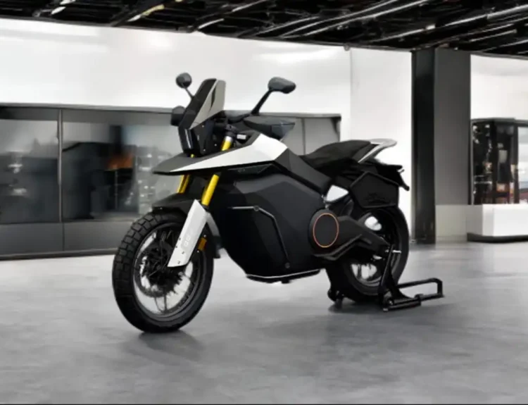 Back view of Ola Adventure bike with tail rack and mono-shock