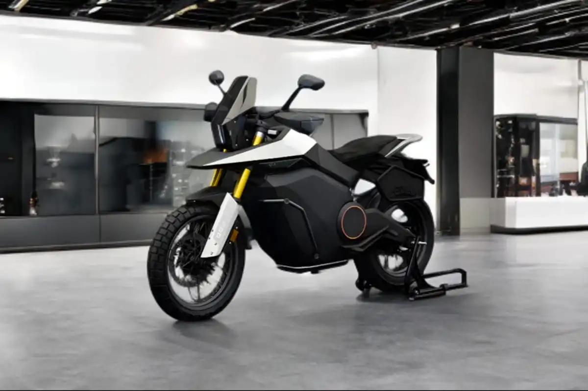 Back view of Ola Adventure bike with tail rack and mono-shock